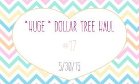 Dollar Tree Haul *HUGE* #17 | 5/30/15 [PrettyThingsRock]