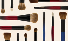 The Sonia G. Brush Guide