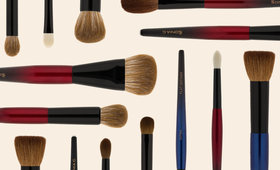 The Sonia G. Brush Guide