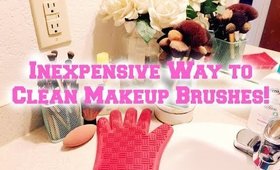 Inexpensive Way to Clean Makeup Brushes!!