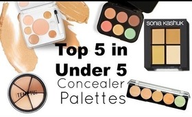 Top 5 in Under 5: Concealer Palettes