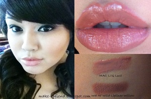 Favorite Nude Lip Combo from my Blog!
