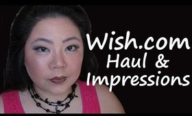 My First Wish.com Haul PLUS Bonus Blinc Mascara Amplified.  I love online shopping!