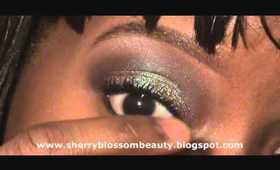 BEST MAC PIGMENT:BLUE BROWN MAKEUP LOOK