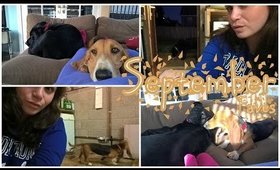 September 2015 Favorites + New Puppy!!