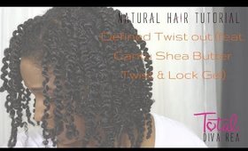 Defined Twist Out on Natural Hair l TotalDivaRea