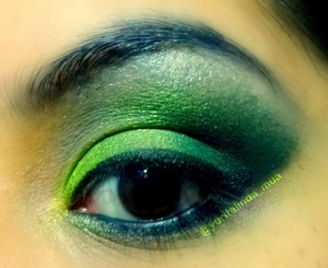 Green ombré eyeshadows. Add a red lipstick and you'll have a christmas/mistletoe look.