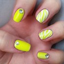 Neon yellow zebra