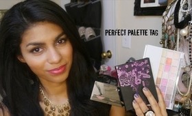 Perfect Palette Tag ♡ feat. Urban Decay, Lorac, Coastal Scents + more | Lux & Makeup
