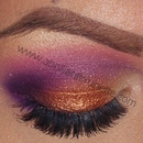 Copper, Purple, and Pink Eyes