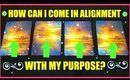 PICK A CARD READING │HOW CAN I GET IN ALIGNMENT WITH MY PURPOSE?