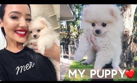 MY NEW PUPPY! | FIRST DAY HOME VLOG