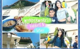 The Upside Down House, Parrots and Sushi?! | Paris & Roxy