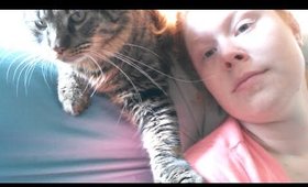 Who Needs a Man When You Have a Cat?