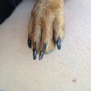 Puppies need a manicure, too!