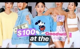 WHAT $100 DOLLARS GETS YOU AT THE GOODWILL 🤯 17 ITEMS?! | MyLifeAsEva