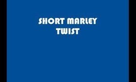 Short (Natural Look) Marley Twist