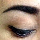 Double winged liner