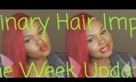 Luminary Hair Imports | One Week Update