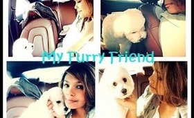 TAG: My Furry Friend