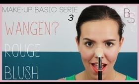 MAKE-UP BASIC SERIE - WANGEN,ROUGE & BLUSH