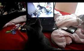 Franklin Watches Nylah Kitty's Video