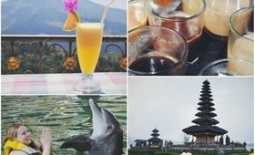 Bali Vlog: The Most Expensive Coffee & Swimming with Dolphins