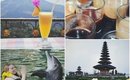 Bali Vlog: The Most Expensive Coffee & Swimming with Dolphins