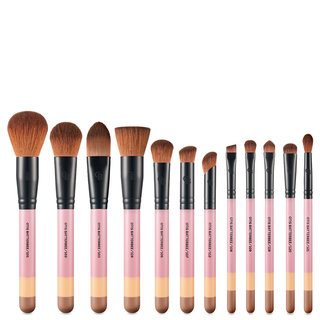 Otis Batterbee 12 Piece Brush Set