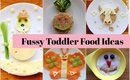 Fussy Toddler Food Ideas