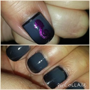 gray, black, sea horse! 