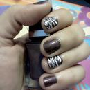 Zebra white and brown