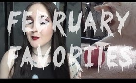 February 2015 Favorites!!