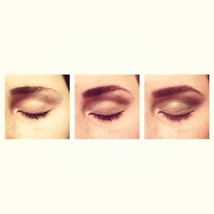 Wild Friday night in! Using Nutrimetics Wow Brow Palette! www.nutrimetics.com.au/dianemc