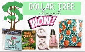 Dollar Tree Haul #21 | Short But Sweet | PrettyThingsRock