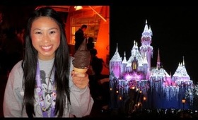 VLOG! Disneyland Holiday Adventures | January 2, 2013