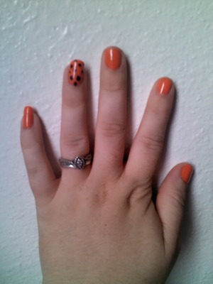 orange with brown polka dots