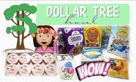 Dollar Tree Haul #20 | Woohoo More Awesome Finds| PrettyThingsRock