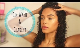 Healthy Hair Basics | How to: Cowash & Clarify | SunKissAlba