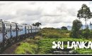 Wild Leopard Encounter | Sri Lanka with Sandra Part 3