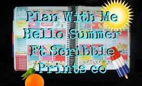 Plan With Me: Hello Summer Ft Scribble Prints Co