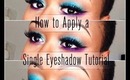 How to Apply a Single Eyeshadow | Back2theBasics