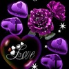 Love Y.