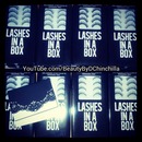 Lashes in a Box