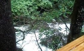 Trip to Helen l Vlog