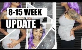 8-15 Week Pregnancy Update