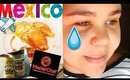 Se fueron a México, No soy Masterchef RECETA+SAZONES SALUDABLES | Kittypinky