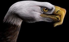 Hand Art: Eagle