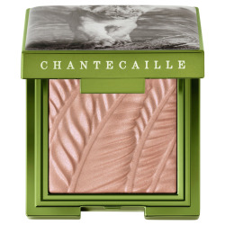 Chantecaille Lion Guardians Eye Shade Narika