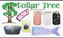 Dollar Tree Haul #21 | Part 1 Double Haul | PrettyThingsRock